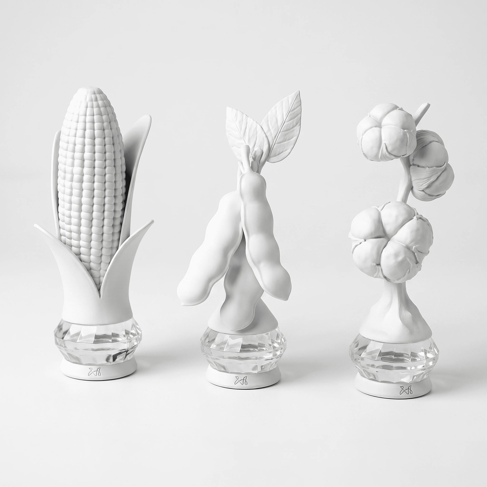 Grandezas da Terra | Conjunto