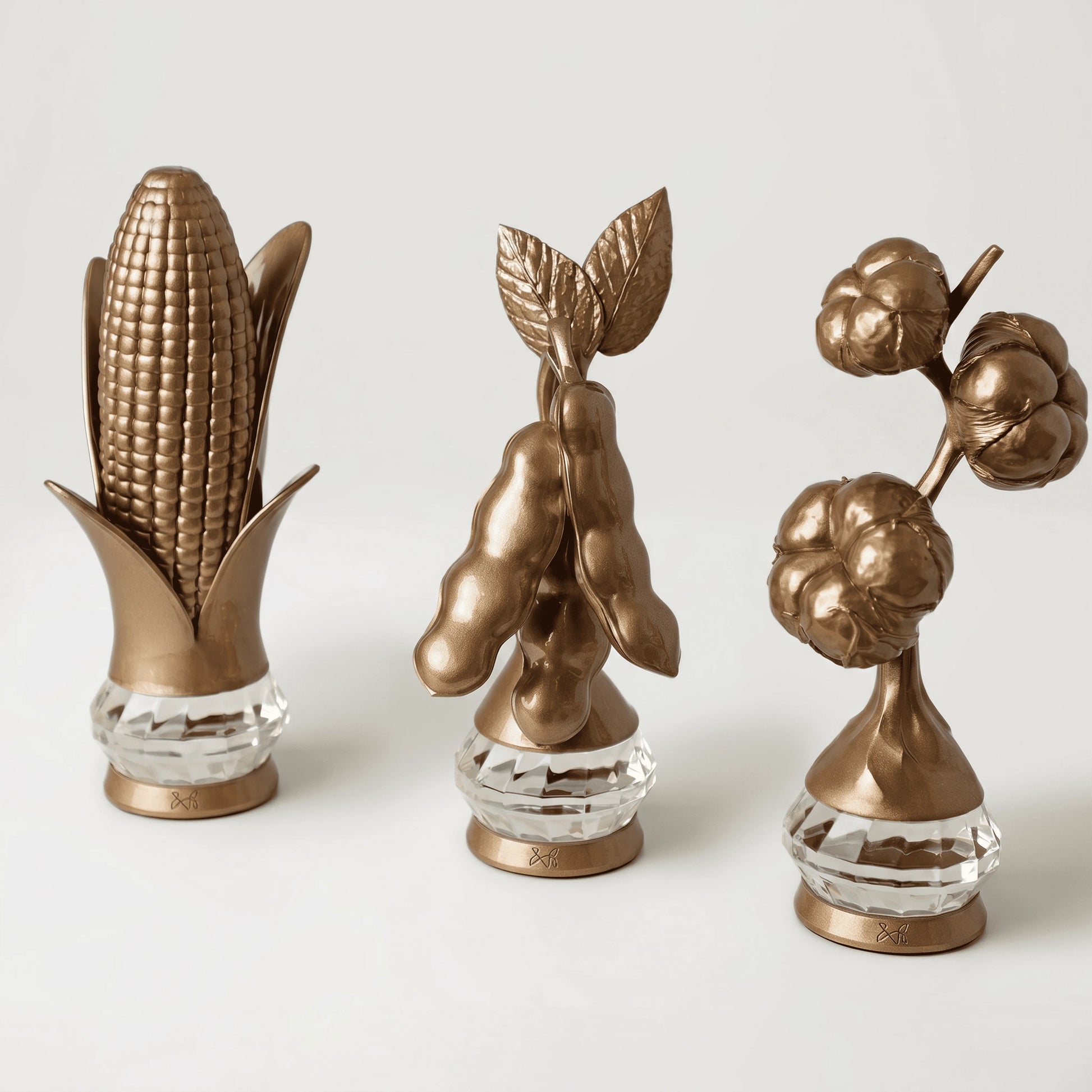 Grandezas da Terra | Conjunto
