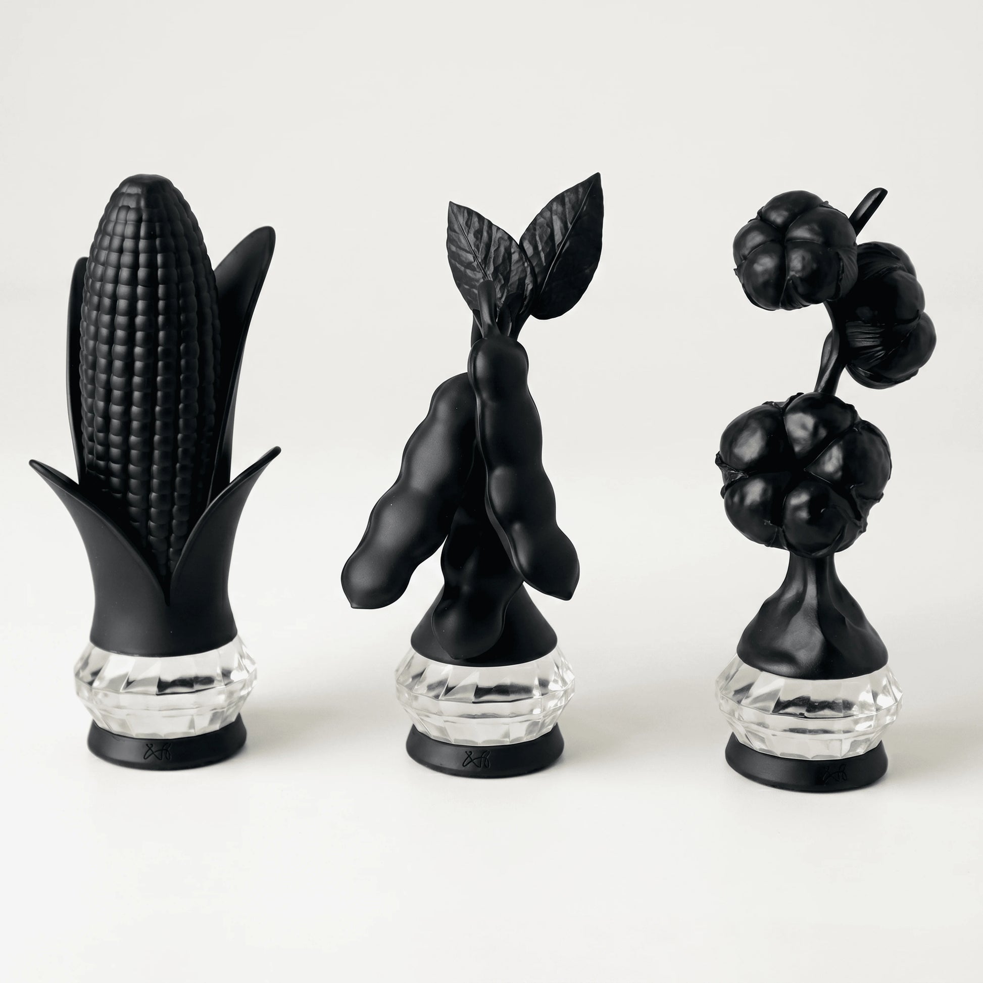 Grandezas da Terra | Conjunto